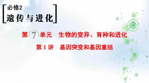 2019版高考生物一轮复习人教全国版课件：必修2 第7单元 第1讲 基因突变和基因重组