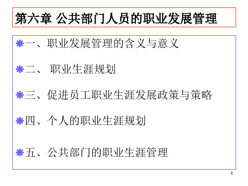 第六章 公共部门人员的职业发展管理