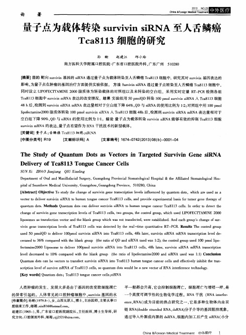 量子点为载体转染survivin siRNA至人舌鳞癌Tca8113细胞的研究