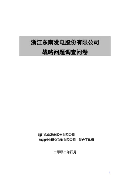 东南电公司战略调查与访谈问卷与提纲33.