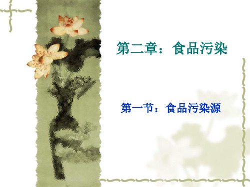 食品污染.ppt