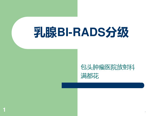 乳腺BIRADS分级ppt课件