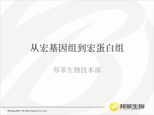 宏基因组和宏蛋白组
