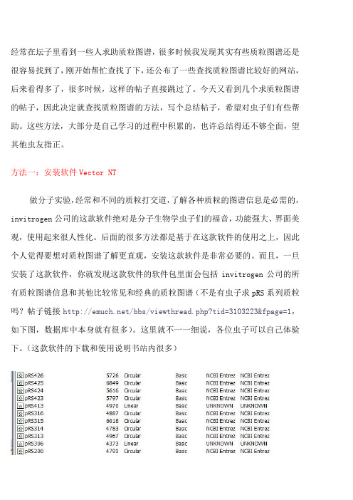 怎么查找质粒图谱