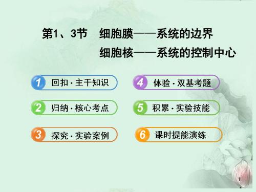 福建省高中生物3.1.3 细胞膜 系统的边界  细胞核 系统的控制中心》课件 必修1