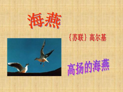 2012冀教版九上《海燕》ppt教学课件