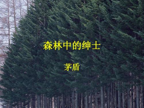 森林中的绅士课件