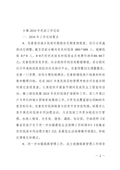 乡镇2018年民政工作总结