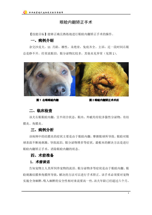 眼睑内翻矫正手术(精)