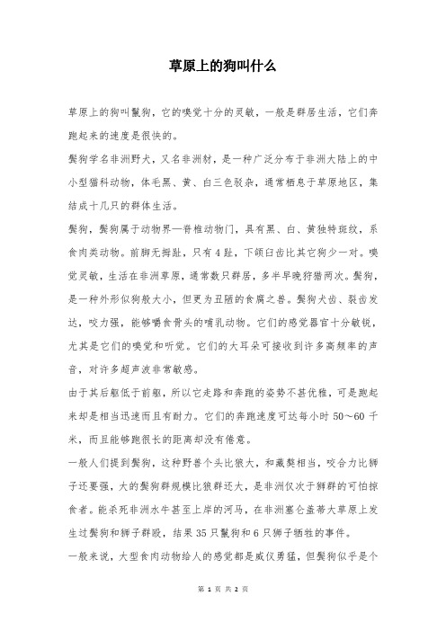 草原上的狗叫什么