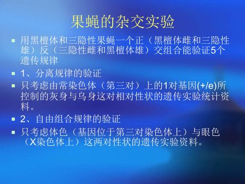 果蝇杂交实验