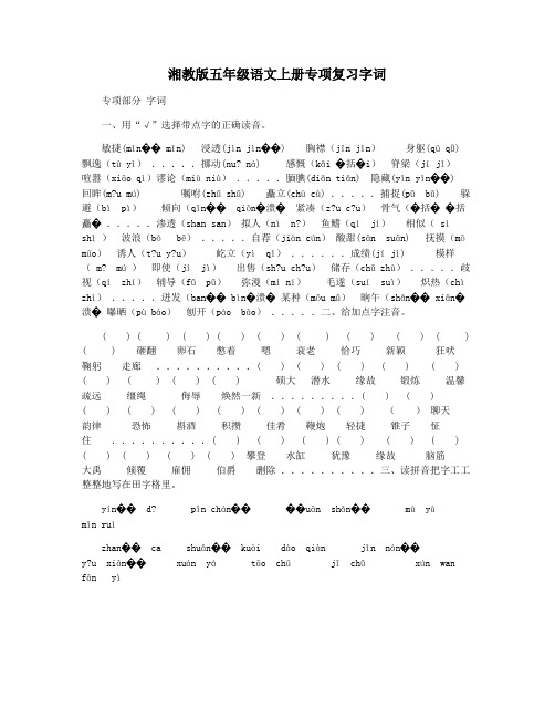 湘教版五年级语文上册专项复习字词