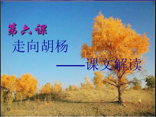6.  走向胡杨(课文)