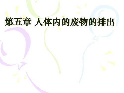 初中生物七年级《人体内废物的排出》课件