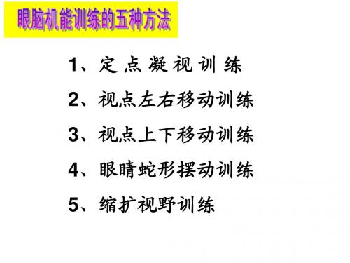 眼脑机能训练
