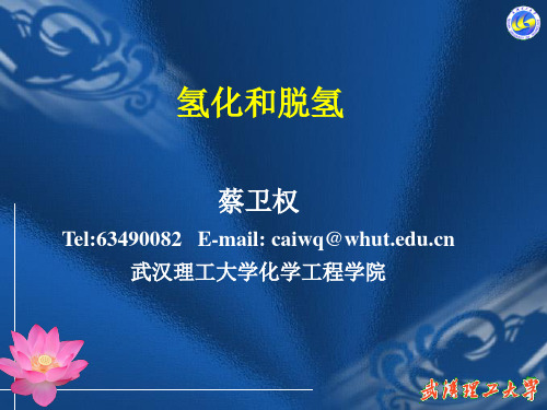 工艺学(课件五氢化和脱氢)