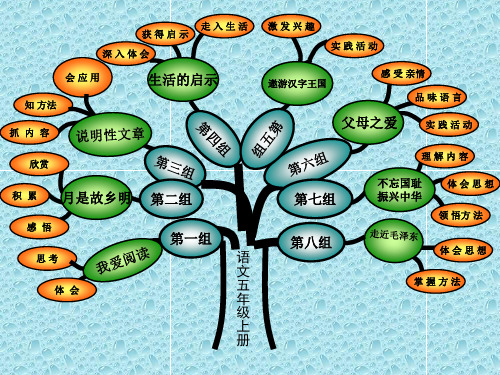 五年级单元知识树(1—8)
