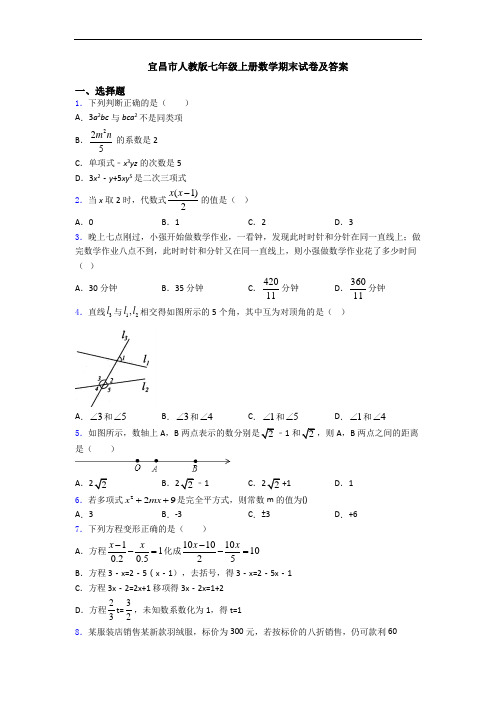 宜昌市人教版七年级上册数学期末试卷及答案