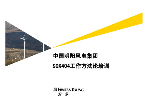 萨班斯SOX404工作方法论培训