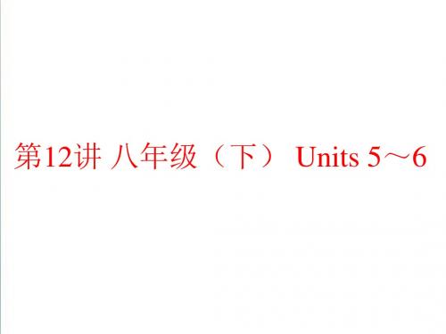 人教版2019年中考英语总复习夯实基础：(八下)Units 5～6(82页)