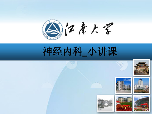 神经内科小讲课ppt课件