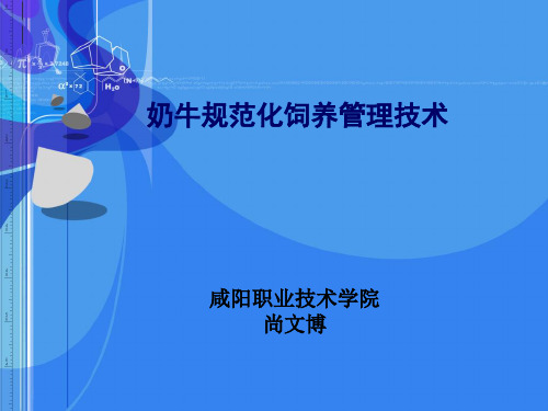 泌乳奶牛一般饲养管理