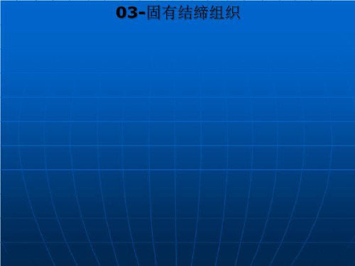 03-固有结缔组织