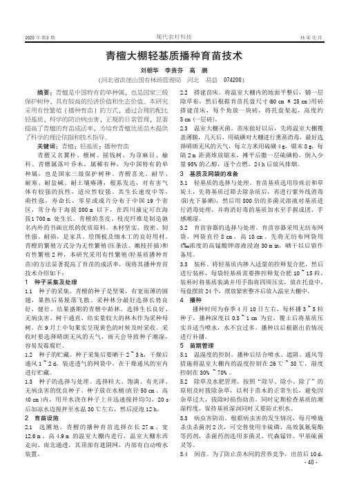 青檀大棚轻基质播种育苗技术