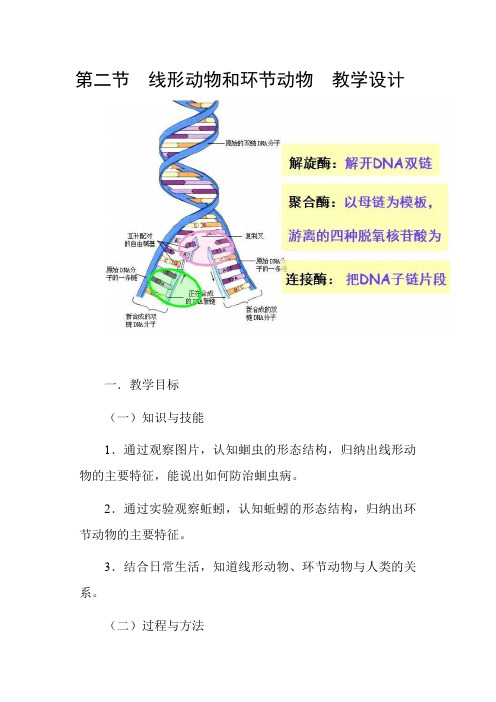 八年级生物下册第二节  线形动物和环节动物  教学设计