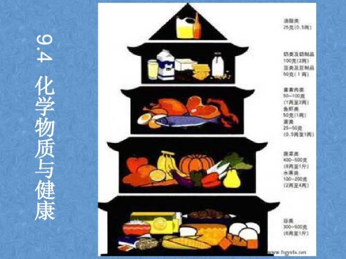 9.4  化学物质与健康