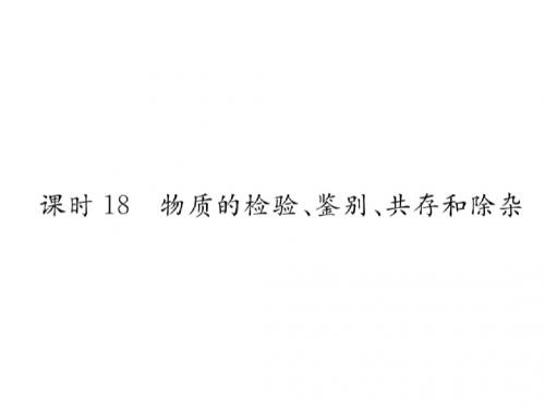 河北专版中考化学复习课时18物质的检测鉴别共存和除杂课件