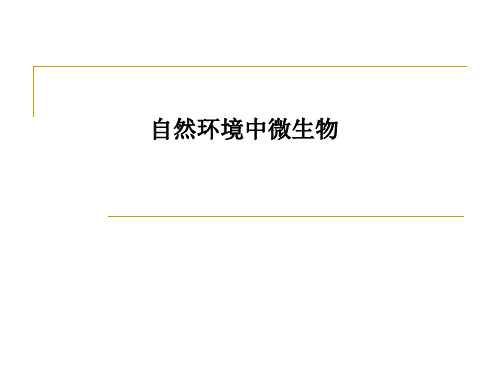 自然环境中微生物