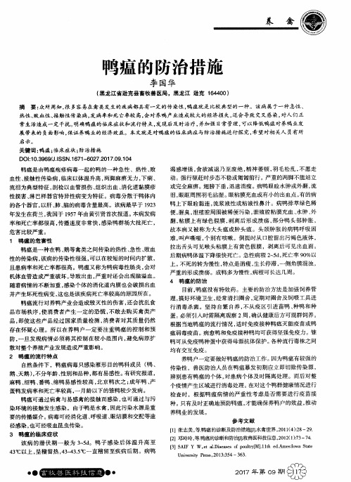 鸭瘟的防治措施
