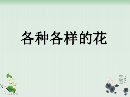 四年级下册科学课件各种各样的花教科版(共22张PPT)