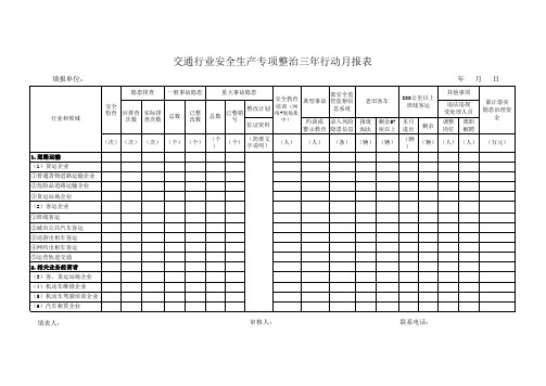 整治三年行动月报表