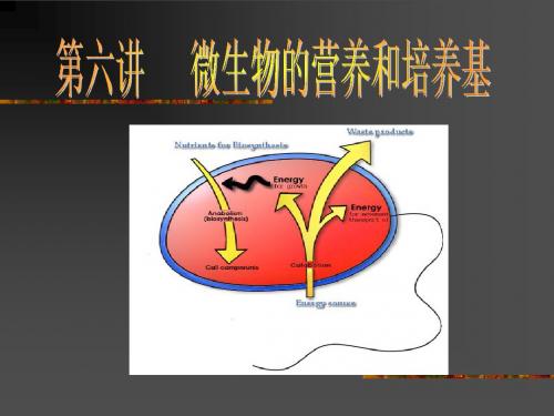 北京大学 微生物 第六讲微生物的营养和培养基