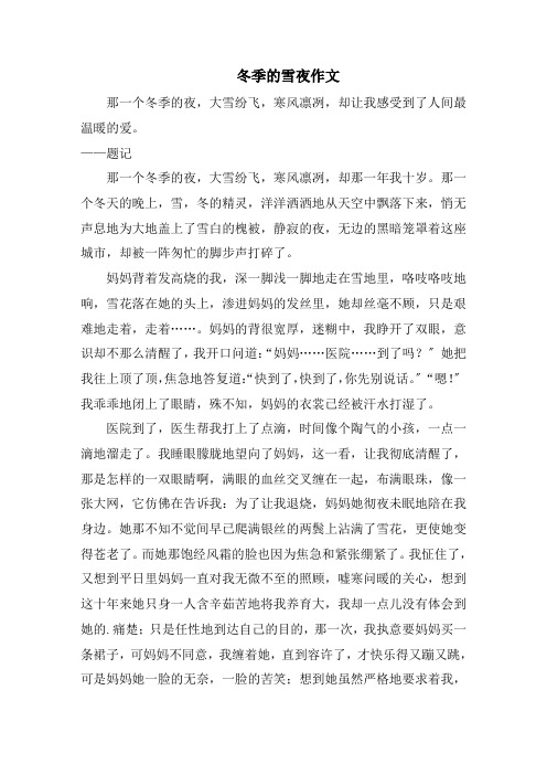 冬季的雪夜作文范文精选