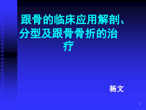 跟骨骨折-杨文