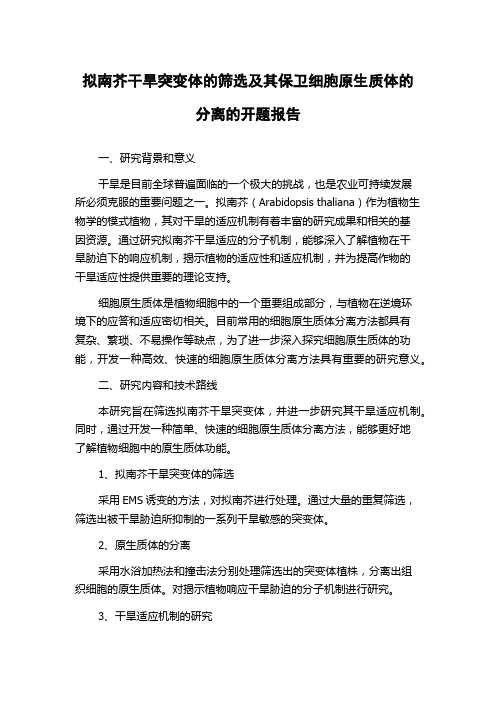 拟南芥干旱突变体的筛选及其保卫细胞原生质体的分离的开题报告