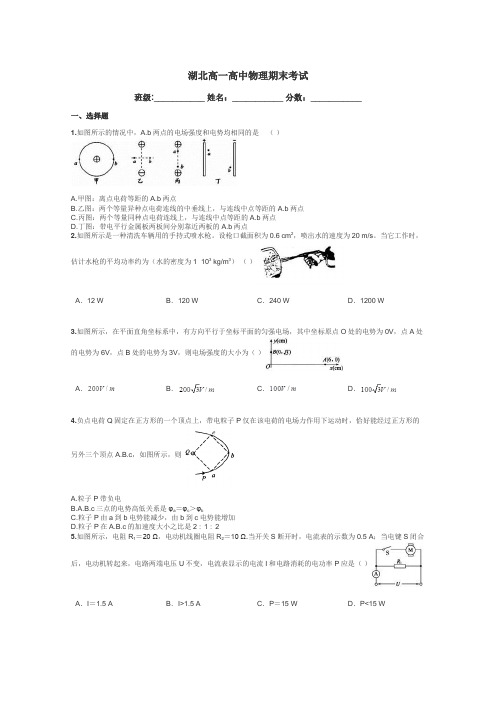 湖北高一高中物理期末考试带答案解析
