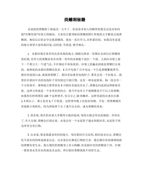 找鳝洞秘籍
