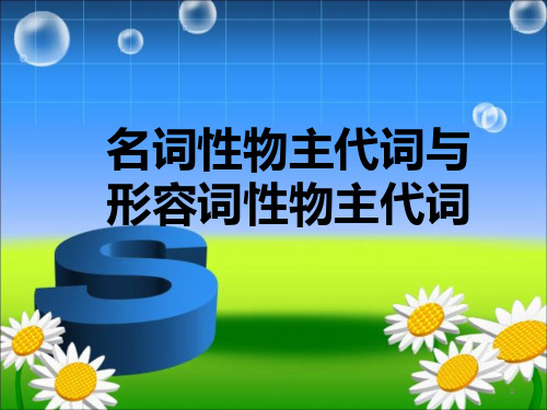 形容词性物主代词与名词性物主代词PPT课件