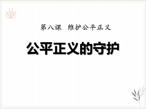 公平正义的守护课件ppt