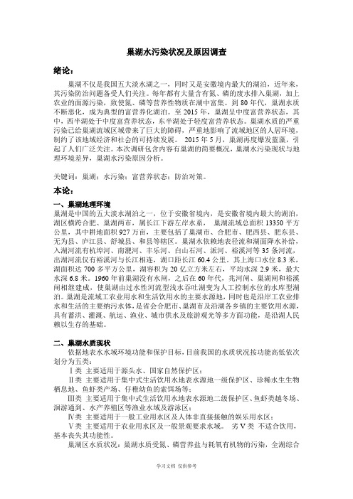 巢湖水污染状况及原因调查论文(总)