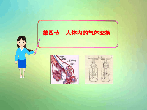苏教版七年级下册第四节人体内的气体交换
