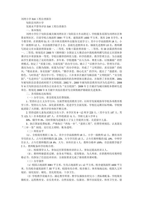 316工程自查报告
