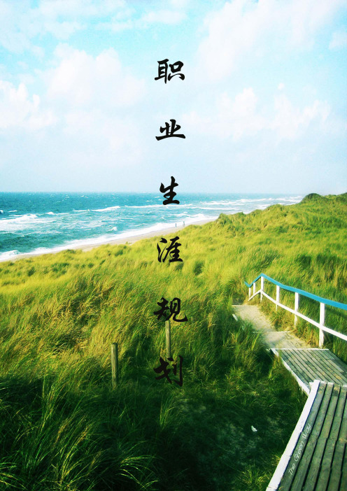 《职业生涯规划》 水利专业