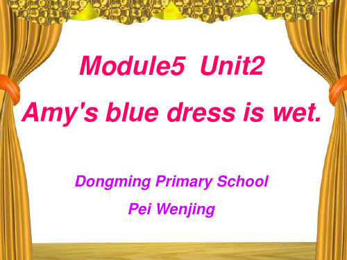 新标准英语外研版一起点第九册课件Module 5 Unit 2Amy's blue dress is wet
