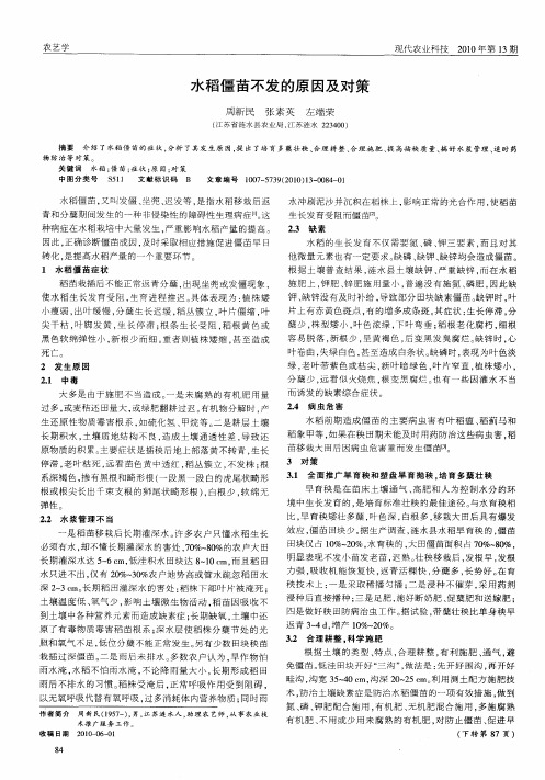 水稻僵苗不发的原因及对策