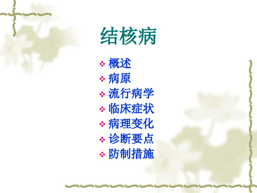 结核病